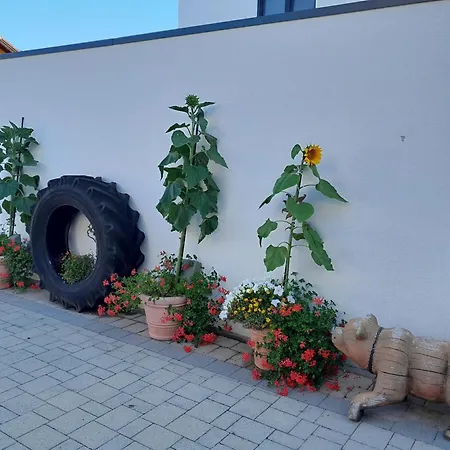 Gaestehaus Reisacher - Mit Fruehstueck Daire *