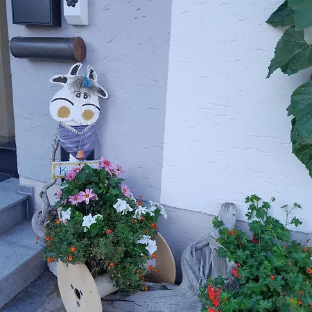 Apartament Gaestehaus Reisacher - Mit Fruehstueck *